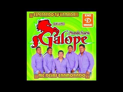 POP CHILENA 1CHIVO FLACO- GRUPO GALOPE DE MIAHUATLAN OAX.