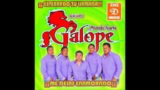 POP CHILENA 1CHIVO FLACO- GRUPO GALOPE DE MIAHUATLAN OAX.