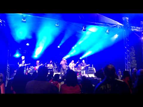 Žlutý pes - Modrá je dobrá - 10 let Aisinu