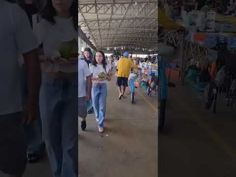 Feira Itaberaí Goiás 28/12/2025