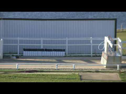 2022 NORTHAMPTONSHIRE SPRINT - T4 CROSSFIELD DUSTY