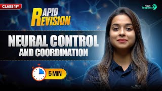 Neural Control and Coordination | CBSE Class 11th Biology | Full Chapter in 5 Mins | Rapid Revision