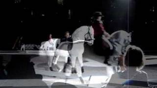 Lipizzaners- Zebra, This Town Needs Guns