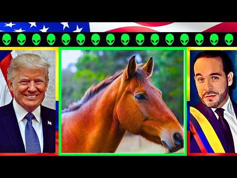 🇨🇴Tarot: PETRISMO PIERDE FICHA CLAVE, ABELARDO SERA PRESIDENTE, EEUU INVESTIGA NEXOS DE PETRIS #fafo