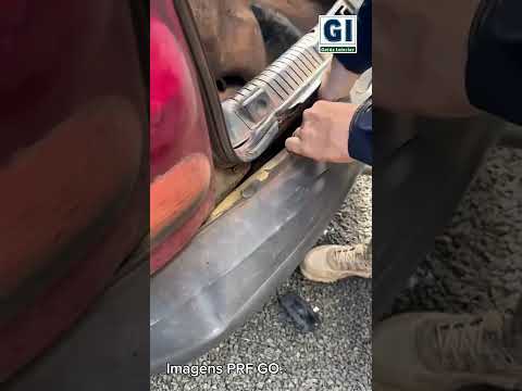 PRF apreende 100 kg de maconha na BR-364, em Mineiros (GO