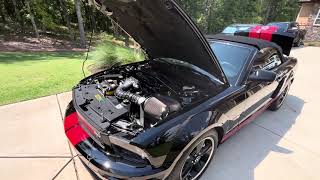 2008 Ford Mustang Barrett-Jackson Walkaround