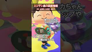 スプラトゥーンレイダーズのプチコラボ？ 【あつ森】@ほのげ