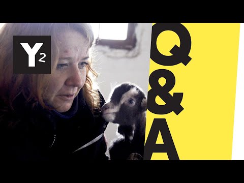 Q&A I Kalter Entzug I Y-Kollektiv