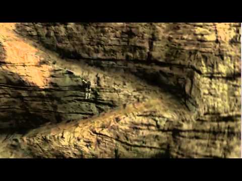 Zagrajmy w Shadow of the Colossus - Celosia cz. 1 (#14)