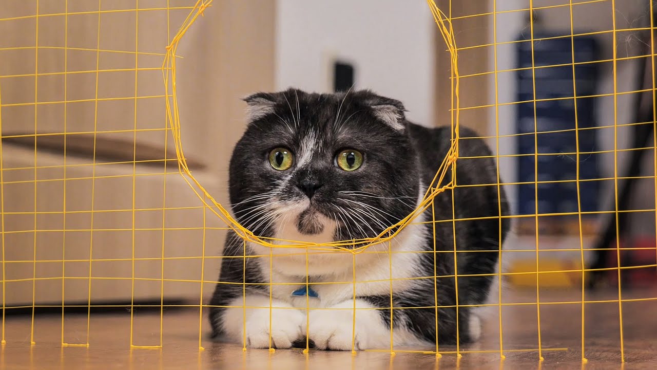 점점 작아지는 구멍 통과하기