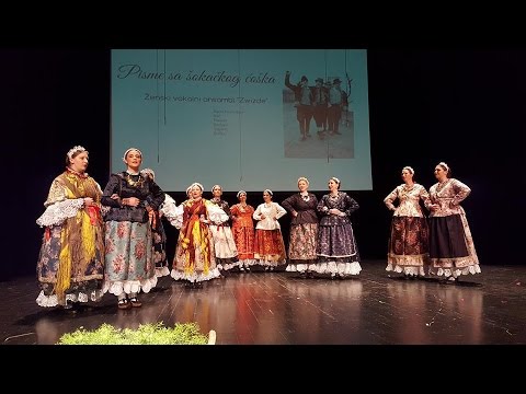 Zwizde - Pisme sa šokačkog ćoška