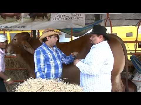 jacinto barba en expica - INN