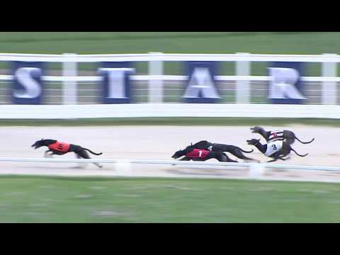 2017 STAR SPORTS DERBY - ROUND 2 - HEAT 10 - T4 BRUISERS BULLET