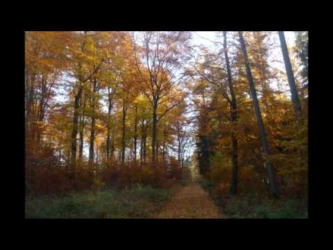 Askprojekt  -  Indian Spirit