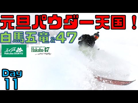 【白馬五竜スキー場】2021年元旦から超絶パウダーをキメる！楽しすぎて埋まった【白馬47】
