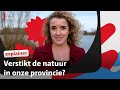 Meer groen of toch niet: wat doet de provincie voor onze natuur? | RTV Utrecht