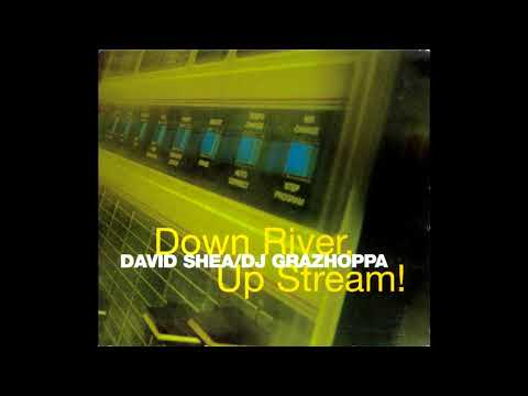 David Shea / DJ Grazhoppa‎– Down River, Up Stream!   (1996)