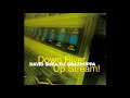 David Shea / DJ Grazhoppa‎– Down River, Up Stream!   (1996)