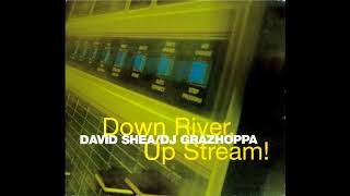David Shea / DJ Grazhoppa‎– Down River, Up Stream!   (1996)