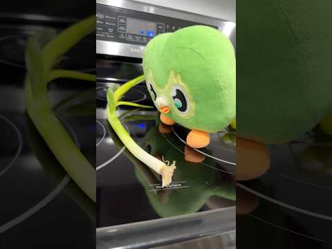 Viral Duo Owl Funny IRL Chaos 🤯 The Wildest Reactions Yet