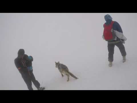 Climbing Korabi mountain. Radomire. Diber. Albania