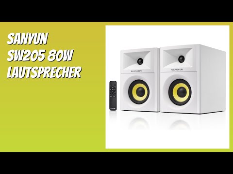 BEWERTUNG (2025): Sanyun SW205 80W Lautsprecher. WESENTLICHE Einzelheiten