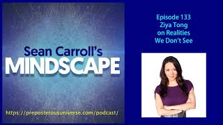 Mindscape 133 | Ziya Tong on Realities We Don&#39;t See