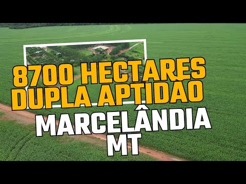 FAZENDA À Venda DE 8700 HA dupla aptidão em Marcelândia MT