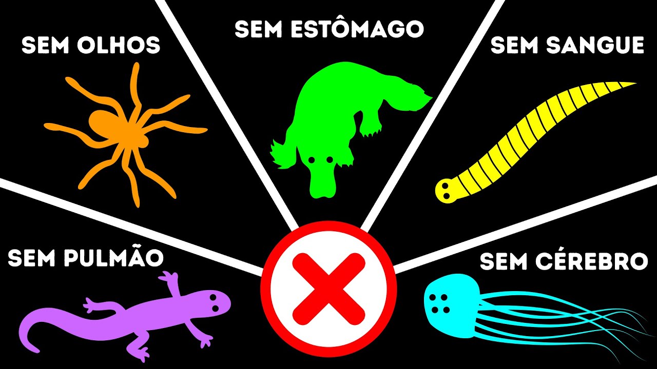 Mais de 10 Animais Que Não Têm Os Órgãos Mais Importantes