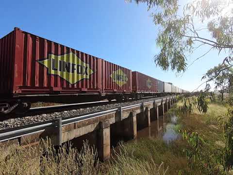 NR24 & NR118 at Carlachy NSW.  Tue 17th Nov 2020