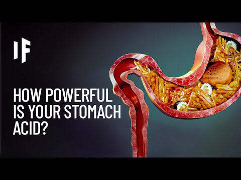 What If Your Stomach Acid Disappeared?