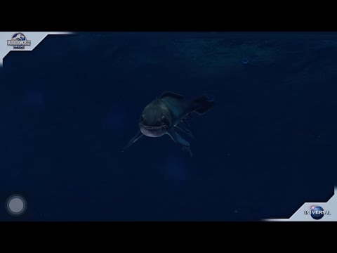 JW - ORTHACANTHUS #Trade harbor