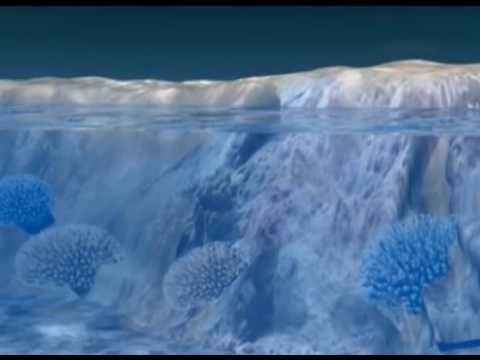 download lagu mp3 mp4 Palk Strait, download lagu Palk Strait gratis, unduh video klip Palk Strait