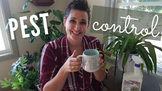 Pest Control | Bringing Outdoor Plants Inside