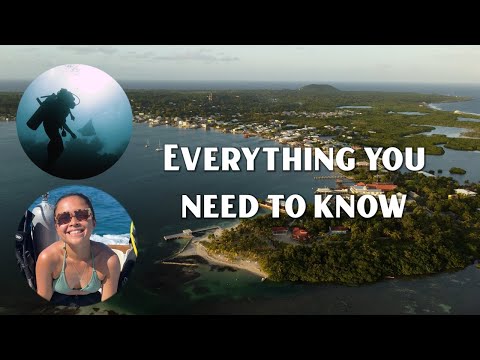 Travelling to Utila Honduras in 2023 (5 essential travel tips)