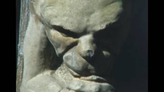 Brian Eno  - The Chill Air excerpt - Kodak 100D Super 8