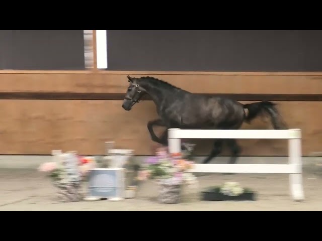 jumping