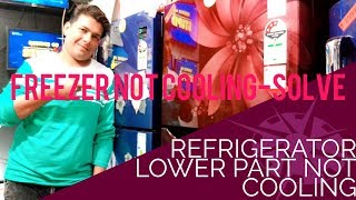 Refrigerator lower part not cooling - solved | Freezer not cooling but refrigerator is fine - repair