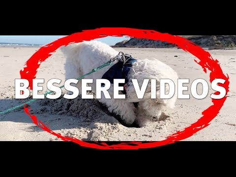 Bessere iPhone Videos drehen | Grundlagen Tipps & Tricks