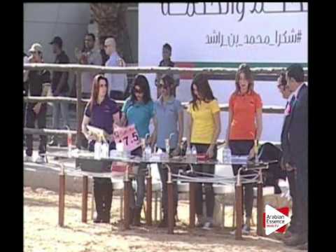 N.16 SG MUWADAH - Ajman 2016 - Yearling Fillies 1 year old (Class 1A)