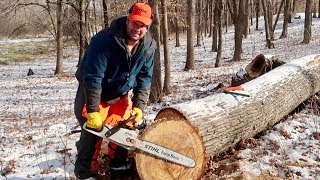 Stihl Chainsaw MS 271 Farm Boss Cutting 26 inch Tree with 18 inch bar.
