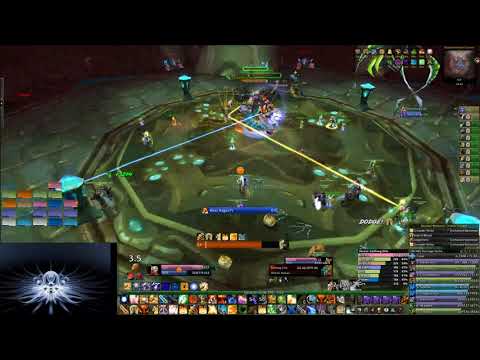 [YIKES] Lady Vashj -- Ret Paladin [Week 1]