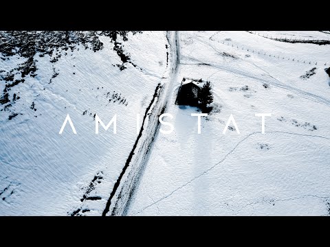 Amistat - Brave (Lyric Video)