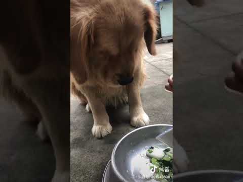 Quá đáng vl :))) dớt dãi chảy kìa :))