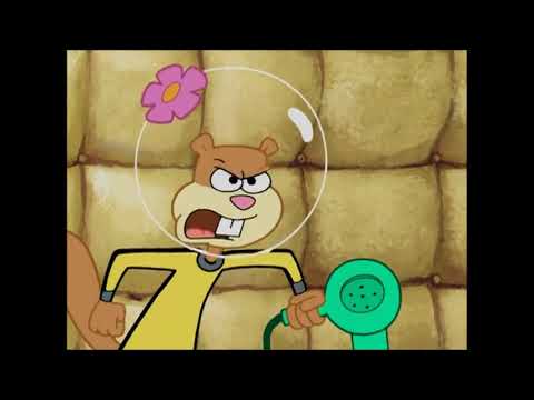 SpongeBob SquarePants episode Karate Island aired on January 3, 2006