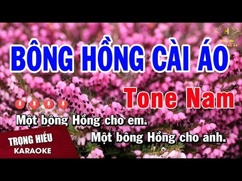 Karaoke Bông Hồng Cài Áo Tone Nam Nhạc Sống | Trọng Hiếu