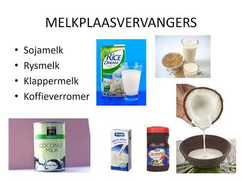 GASVRYHEIDSTUDIE GRAAD 10: 11 Junie 2020 - periode 3 (11103)