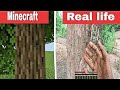 MINECRAFT TREE IN REAL LIFE Minecraft Vs Real Life Animation
