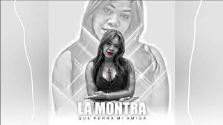 LA MONTRA QUE PERRA MI AMIGA (📀DRG HQ AUDIO📀)