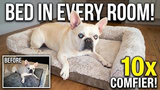 Best Dog Crate Bed for Easy Cleaning